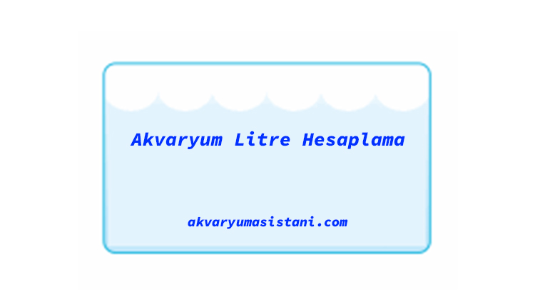 akvaryumasistani.com